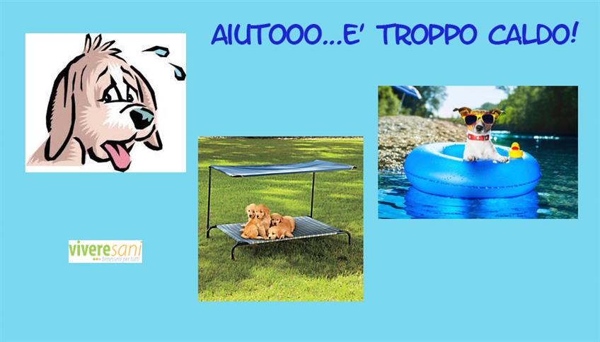 Un po' di refrigerio anche per gli animali Un po' di refrigerio anche per gli animali